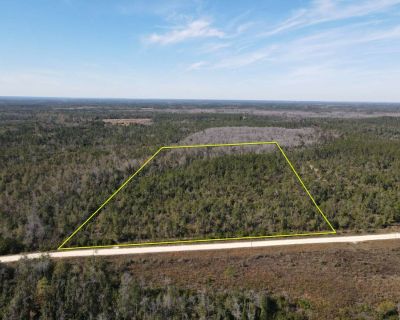 Land For Sale in Marianna, FL