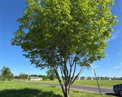 Unimproved Land For Sale in OTTAWA, KS