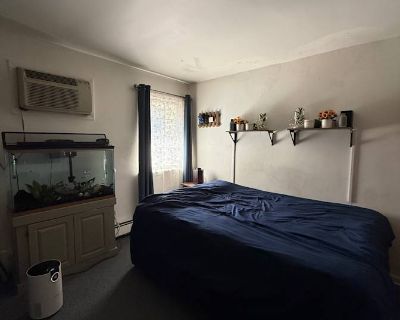 Available on: november 17. Unfurnished. Pet friendly. Parking available * Internet included * LGBTQ+ friendly * Cat friendly * Students welcome * 40+ years welcome. The apartment is located at the south end of downtown New Hope, PA. Walkable to everything in New Hope. New Hope is a vibrant arts and culture scene hidden within the Delaware Valley. There are plenty of things to do and places to g...