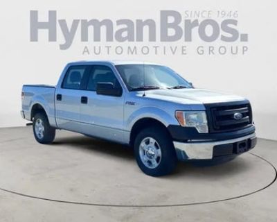 2013 Ford F-150 4X2 XL 4DR Supercrew Styleside 5.5 FT. SB