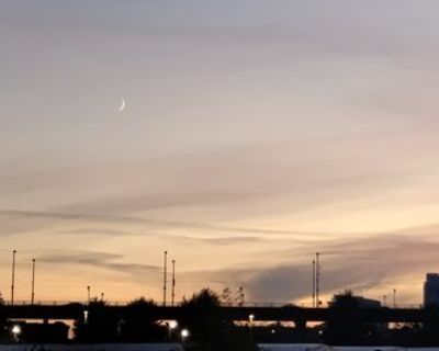 Aurora - Needs a Place on iROOMit or a Room