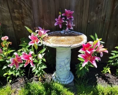 Vicki (Has a House) on iROOMit. Room in the 1 Bedroom 1BA House For Rent...