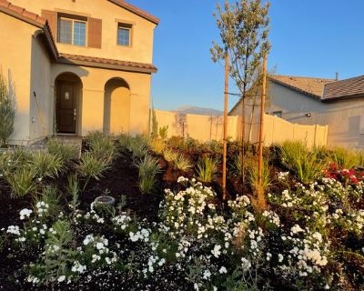 Janelle m (Has a House). Room in the 1 Bedroom 1BA House For Rent in Banning, CA
