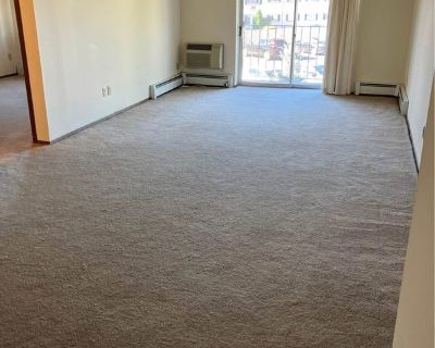 Furnished Room for Rent - Spacious One Bedroom Apartment