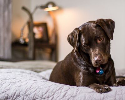 Bedding Boutique For Sale (flexible schedule, $180K cashflow)