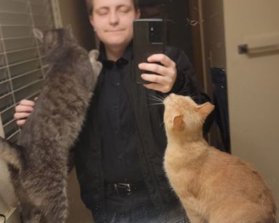 Street - Needs an Apartment on iROOMit or a Room