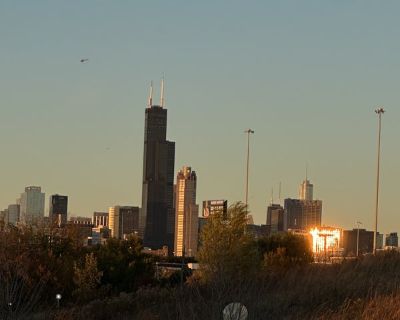 Female Seeking Room in Kane County, IL