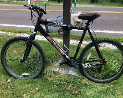 mountain bike