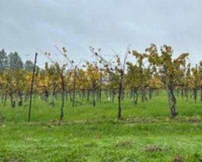 Laura B is looking for a New Roommate in San Francisco with a budget of $1500.00