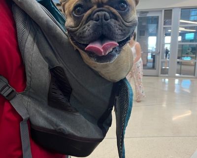 Jason - Needs an Apartment on iROOMit or a Room