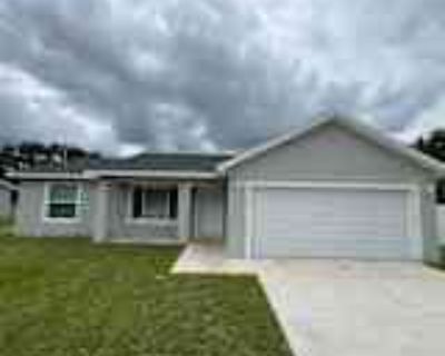 3 Bedroom 2BA 1300 ft² Pet-Friendly House For Rent in Ocklawaha, FL 286 Malauka Run