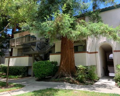2 Bedroom 2BA 1078 ft Condo For Rent in Sunnyvale, CA