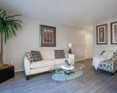 1 Bedroom 1BA 440 ft Pet-Friendly Apartment For Rent in Albuquerque, NM
