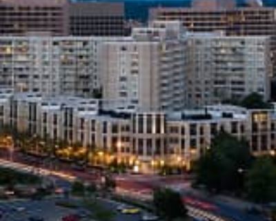1BA 529 ft² Pet-Friendly Apartment For Rent in Arlington, VA Lofts 590 Apartments