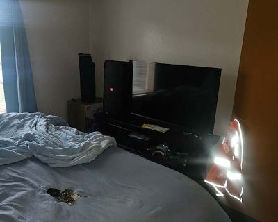 Shared room with shared bathroom in an apartment, Milwaukee, WI 53213