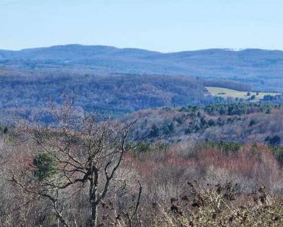Unimproved Land For Sale in SUMMIT, NY