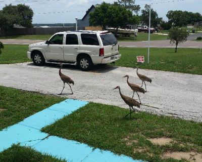 A hidden gem, Lake access, fishing and relaxation. At BlueLake you get more than a furnished room, but a package of good value for your money. Pet friendly. Studios, one and two bedroom units.
Weekly $400 and up