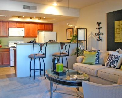 1 Bedroom 1BA 544 ft Pet-Friendly Condo For Rent in Mesa, AZ