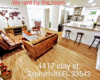 Private room with shared bathroom in a House, Zephyrhills South, FL 33542