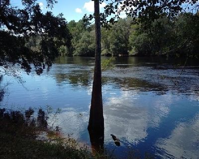 Waterfront RV Lot Directly on Suwannee River! Available Now!!