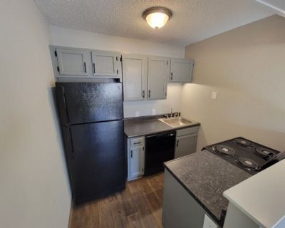 1 Bedroom 1BA 400 ft Pet-Friendly Apartment For Rent in Wichita, KS