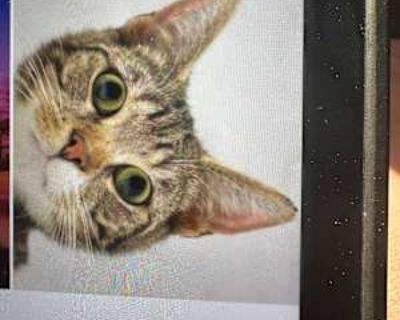 Non-smoker * Interested in teaming-up. Budget: $500 per month. Ready to move: November 1. Looking for myself. I am a quite person & stay to myself, have hobbies to keep me busy.It is my hopes we can negoitate the rent, if needed. Would also like utitlies included. I feel it would be benifical if we met some where & got to know each other a bit & ask & answer questions.