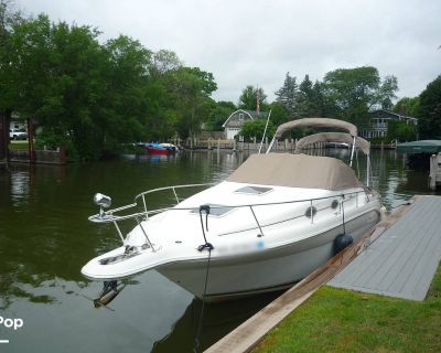 Sea Ray 270 Sundancer