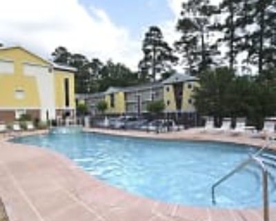 2 Bedroom Furnished Apartment For Rent in Tallahassee, FL Villa San Carlo