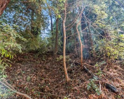 Single Family Home For Sale in FELTON, CA