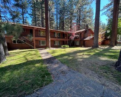 2 Bedroom 1BA 900 ft Furnished Pet-Friendly Apartment For Rent in South Lake Tahoe, CA
