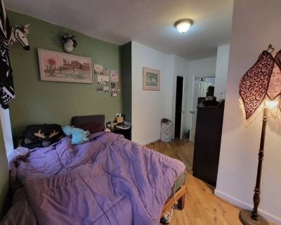 Unfurnished Room for Rent - Sunny East Williamsburg Room