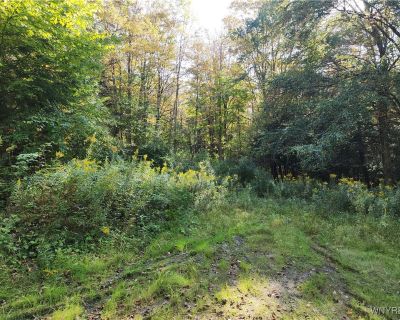 Lots and Land For Sale in Ellicottville, NY