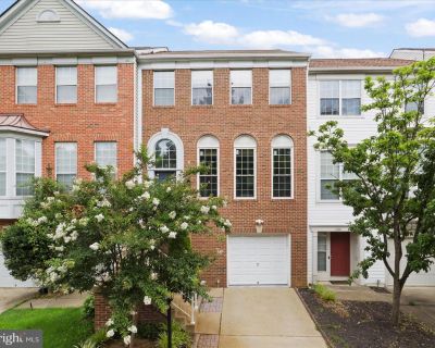 3 Bedroom 3BA 1996 ft Apartment For Rent in Alexandria, VA