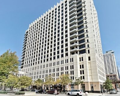 1 Bedroom 1BA 750 ft Condo For Rent in Chicago, IL