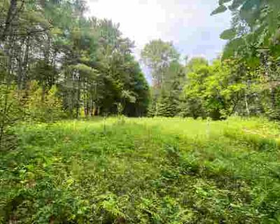 Land For Sale in WATERFORD, VT