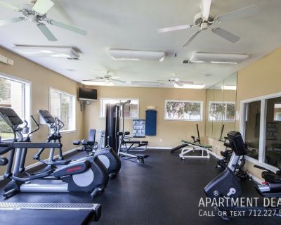 2 Bedroom 1BA 917 ft Furnished Apartment For Rent in Conroe, TX