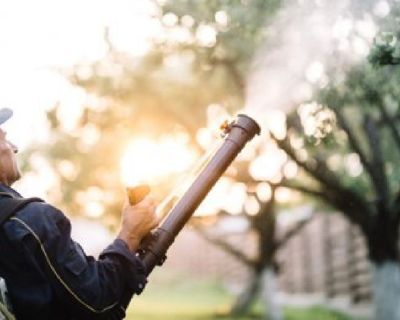 Best Pest Control Service in Stuart