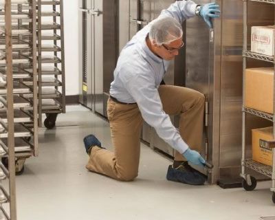 Commercial Pest Control in Stuart