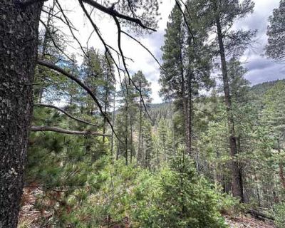 Land For Sale in CLOUDCROFT, NM