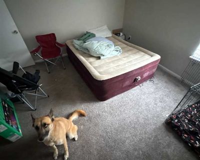 Shared room with shared bathroom in an apartment, Greensboro, NC 27455