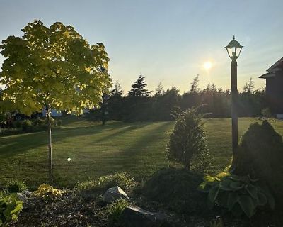 Lawn Mowing