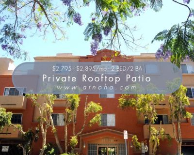 Large 2 Bed/2 Bath - Beautiful - Private Rooftop Patio