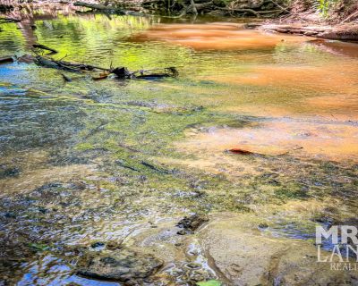 Lots and Land For Sale in Center, TX