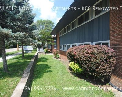 2 Bedroom 1BA Furnished Apartment For Rent in Ann Arbor, MI