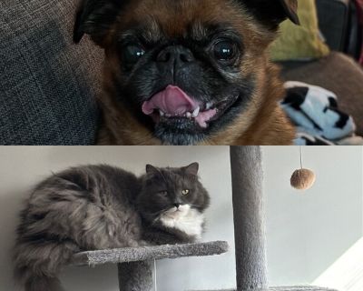 ISO Roommate Jan 1,26