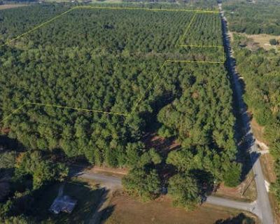 Unimproved Land For Sale in LAUREL HILL, FL