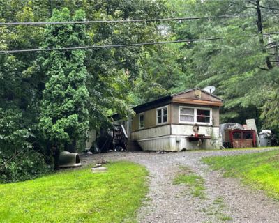 2 Bedroom 1BA 720 ft Mobile Home For Sale in SPRINGWATER, NY