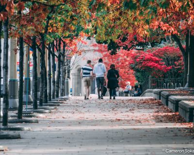 Cozy West-End homestay (Has a House) on iROOMit. Room in the 2 Bedroom...