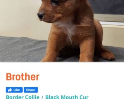 I saw a puppy on puppy.com that I want and I’m having no luck connecting with the lady. Hoping someone here can help