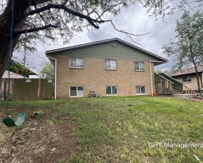 3 Bedroom 1BA 1000 ft Pet-Friendly Apartment For Rent in Denver, CO